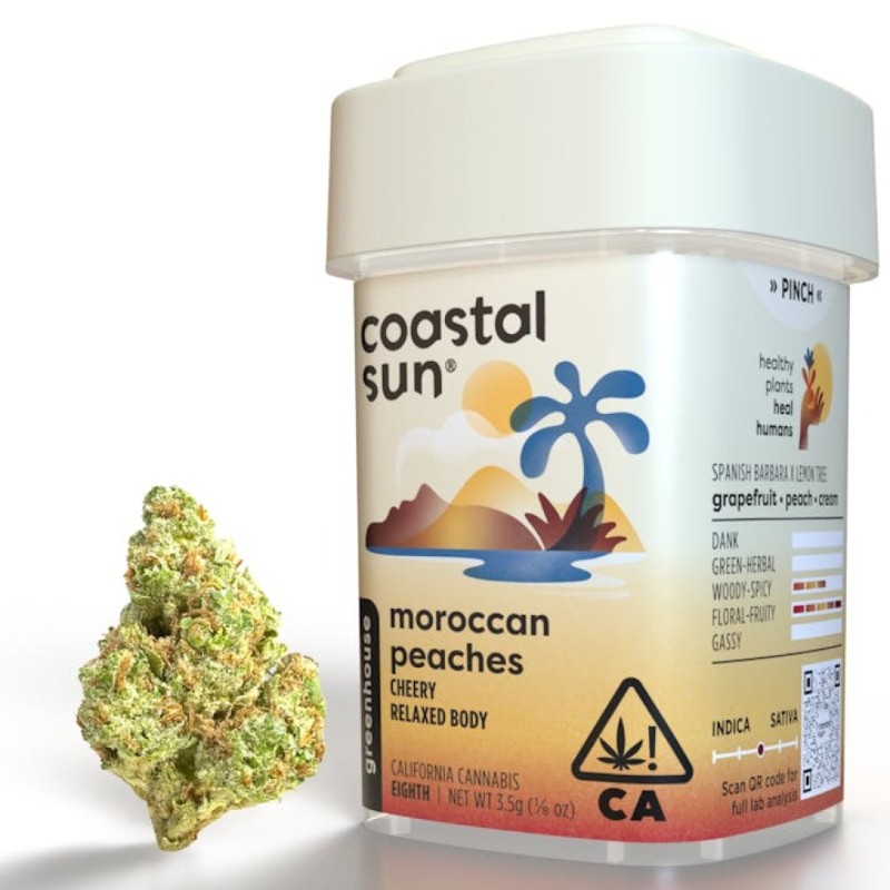 Coastal Sun Moroccan Peaches (H) Greenhouse Flower 7g