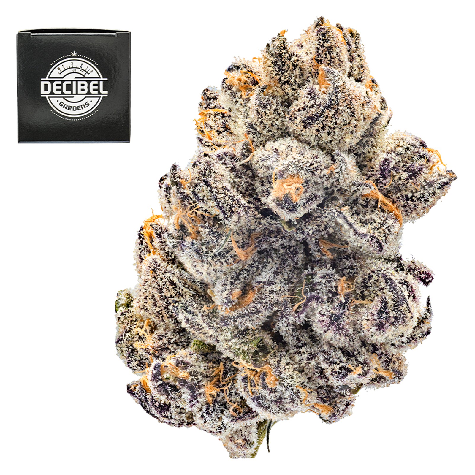 Cosmic Banana Strain | Cannabis Flower | Hyperwolf