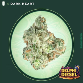 Grassroots | Delphi Diesel |14Grams Sativa Dark Hearts Collection