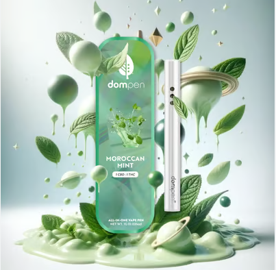 Dompen Ratio All In One 1g Moroccan Mint CBD 1:1