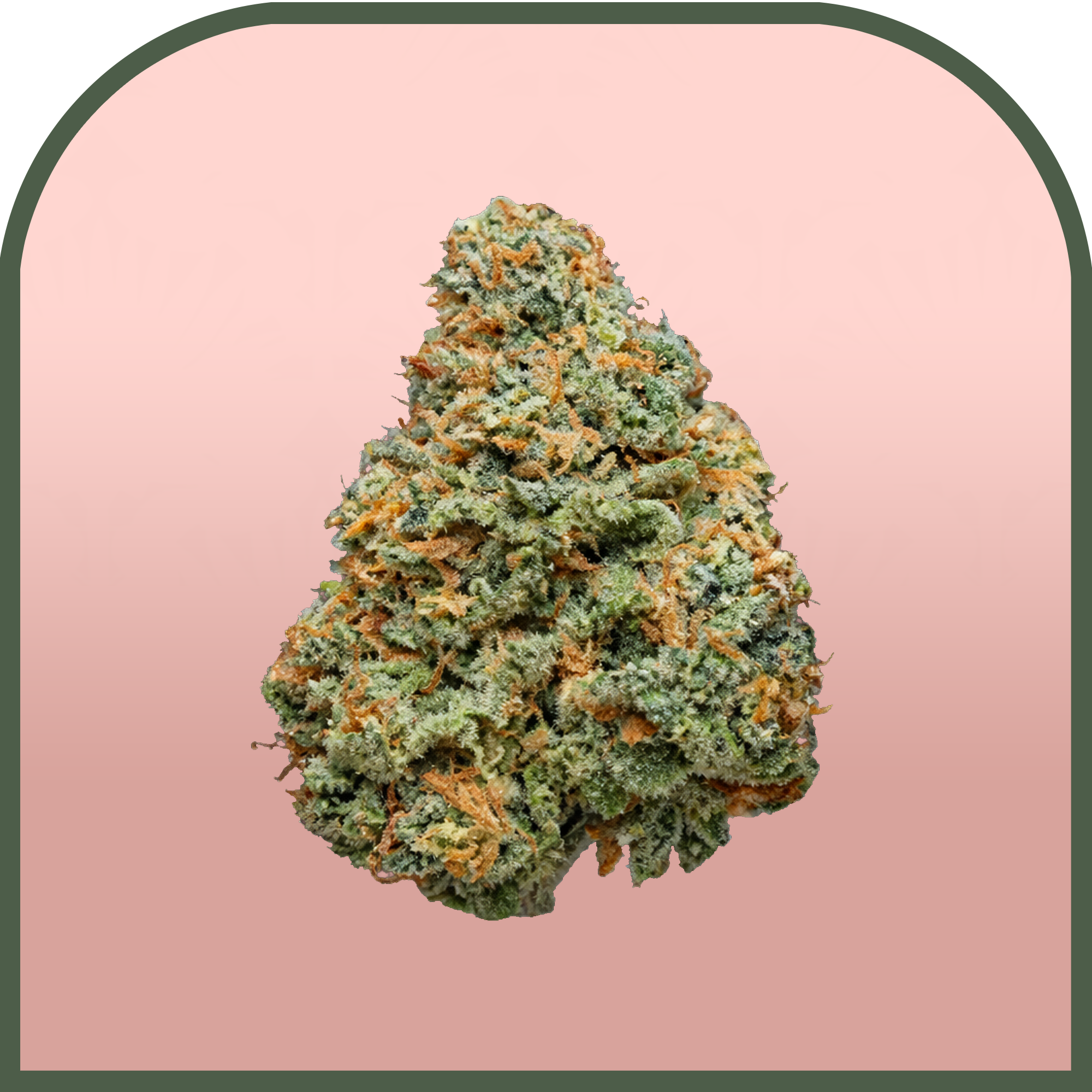 Dark Rainbow | Pre-packed 7g