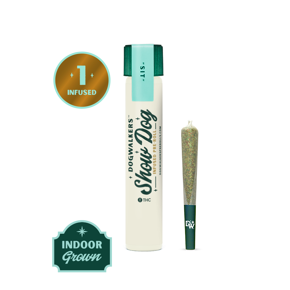 Dogwalkers| Black Maple | Infused Show Dog "Sit" Big Pre-Roll 1g