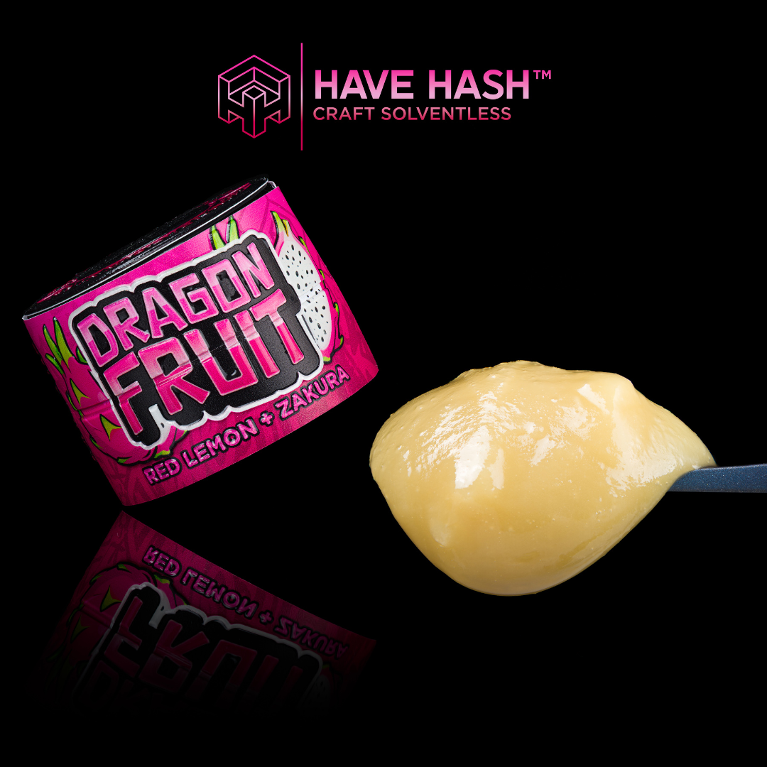 Have Hash - Cold Cure Rosin - Dragon Fruit - T3 - Concentrate - 2.0g