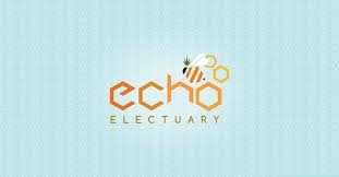 Echo Electuary Original Glue Live Resin Budder 1g