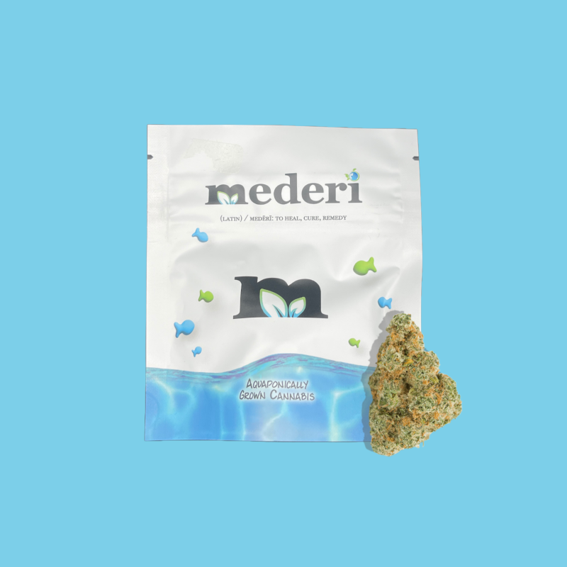 Orange Push Pop | 3.5g