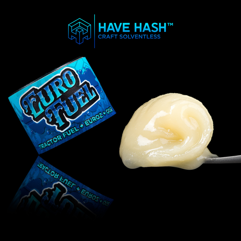 HAVE HASH - Cold Cure Rosin - Euro Fuel T1 - Concentrate - 1.0g