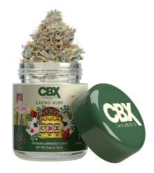 CANNABIOTIX: Casino Kush 3.5g - Indoor Flower (I)