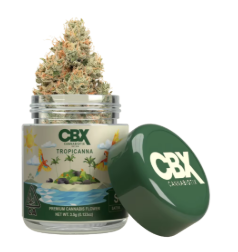 CANNABIOTIX: Tropicanna 3.5g - Indoor Flower (S)