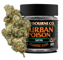 Durban Poison (28g) - Small Buds