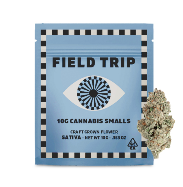 Field Trip - Flower - Mango Haze - 10G