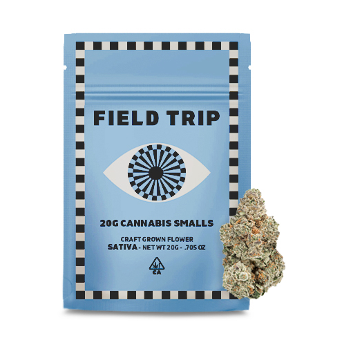 Field Trip Smalls 20g Mango Haze
