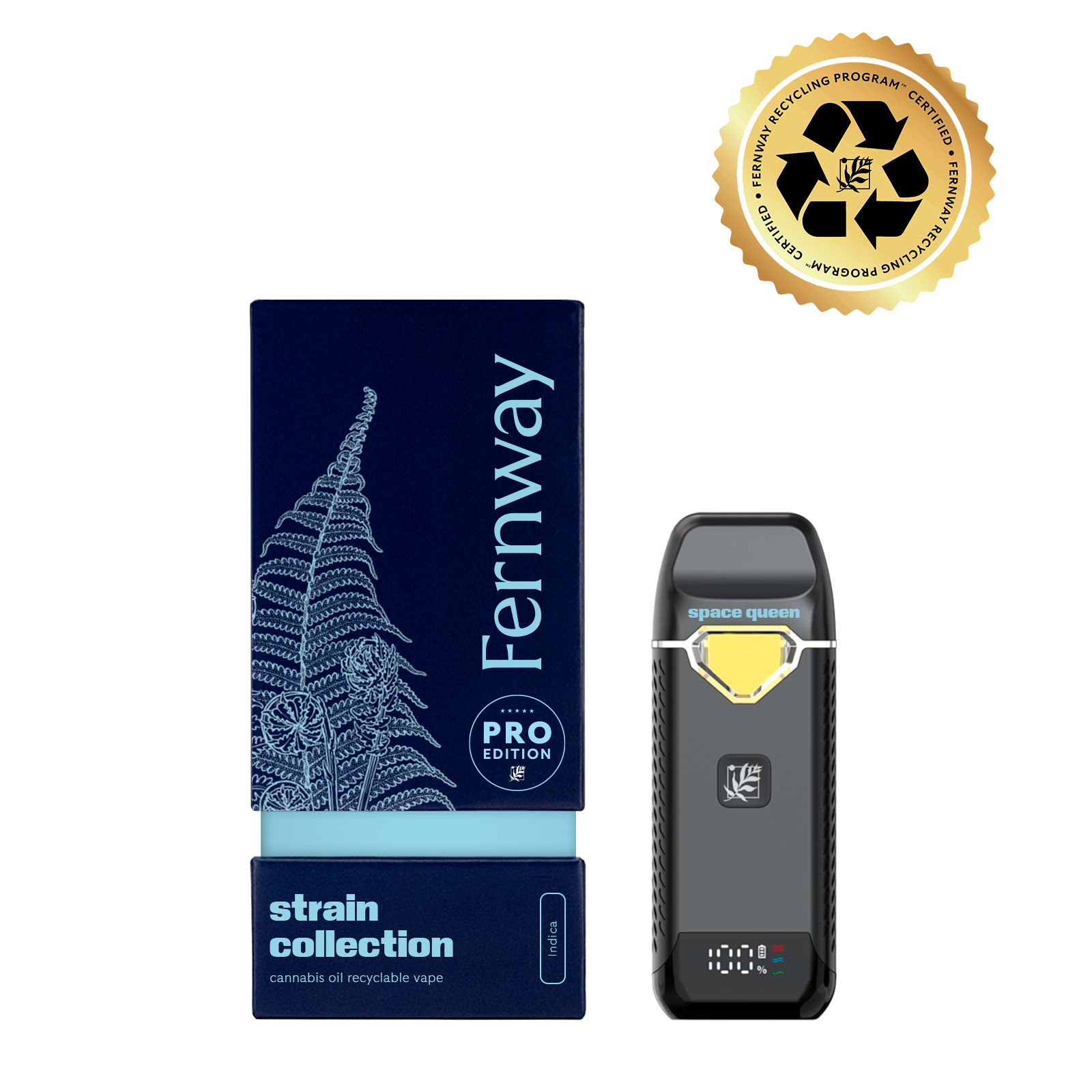 Fernway | Traveler Pro | Space Queen | 2g AIO