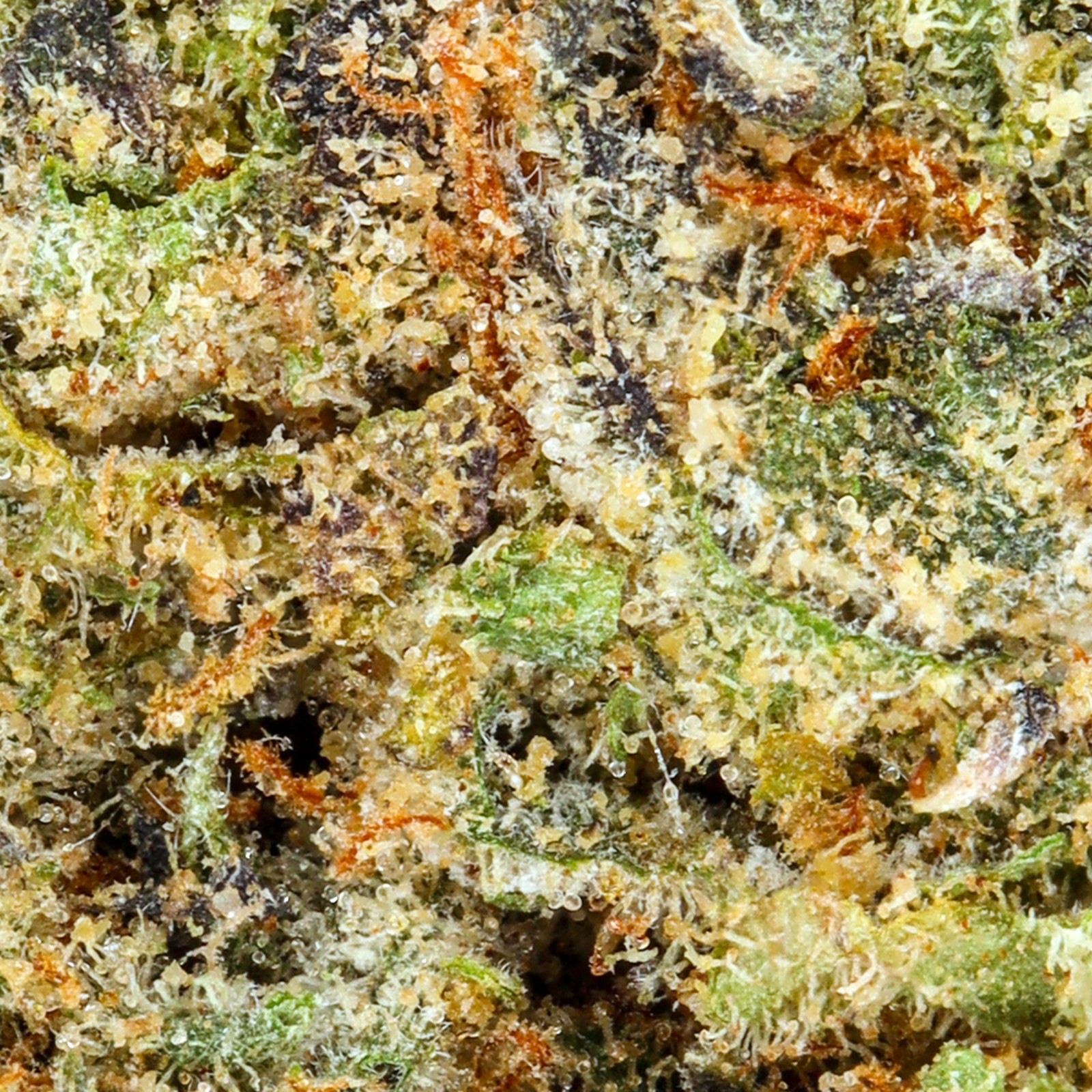 Fields Family Farmz Stinky Pinky Half Ounce Flower Strain (hybrid