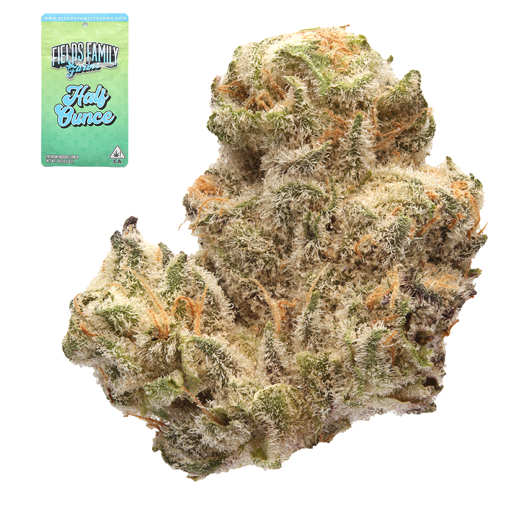 Fields-Family-Jokerz-31-Indica