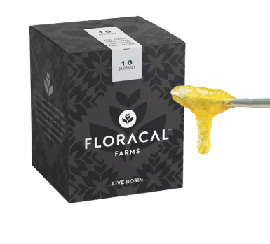 Floracal Papaya 0.5g Live Rosin Badder