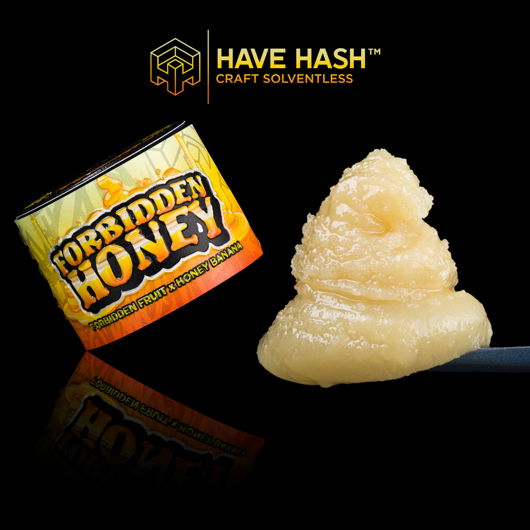 Have Hash - Cold Cure Rosin - Forbidden Honey - T2 - Concentrate - 1.0g