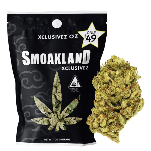 GDP-73c185bf-b9da-4f3e-aa0a-