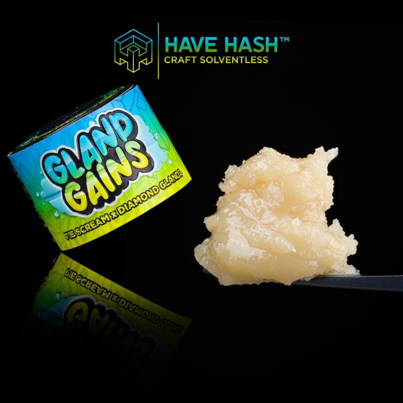 HAVE HASH - Cold Cure Rosin - Gland Gains T3 - Concentrates - 2.0g