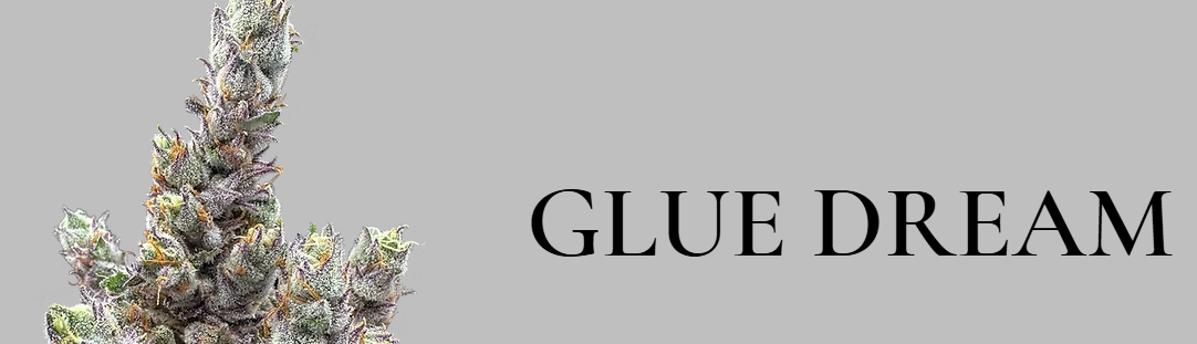 Ounce | Glue Dream | 28g