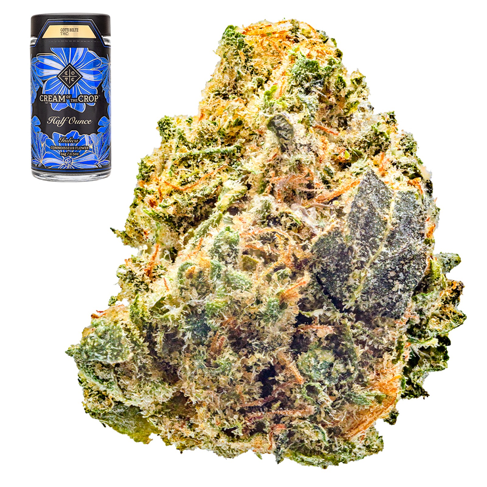 Gotti-Beltz---Flower---COTC-2-
