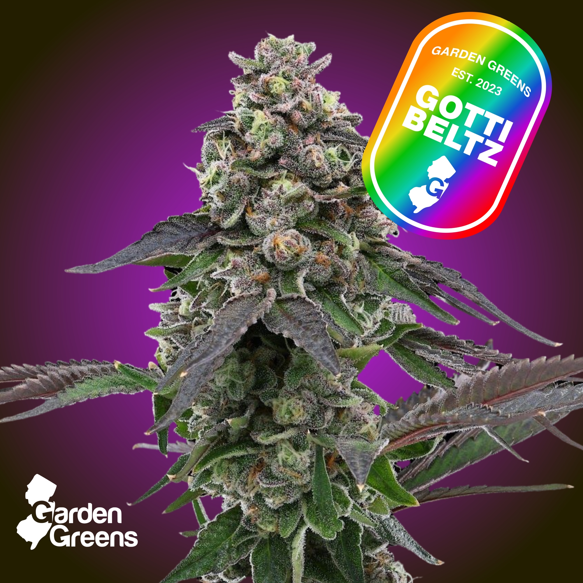 Flower | Mixed | Garden Greens | Gotti Beltz | 7g