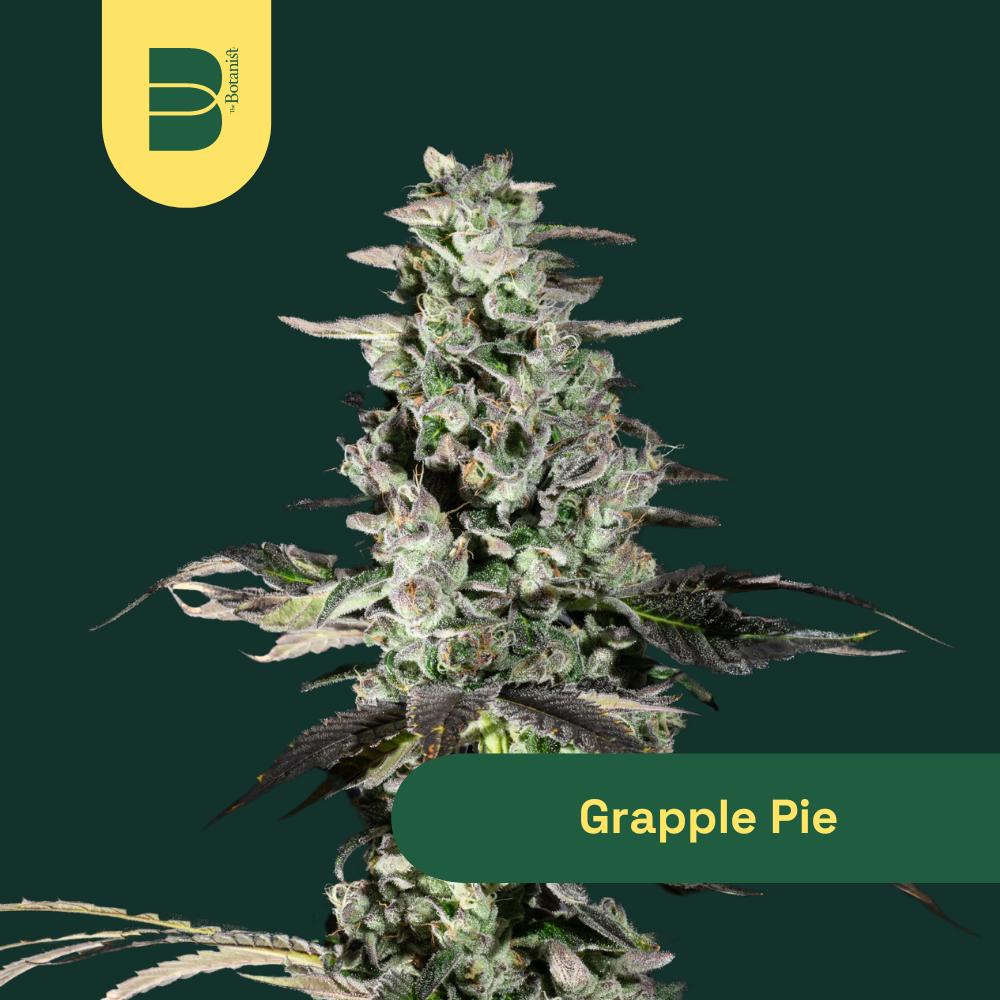 Grapple Pie | 3.5g