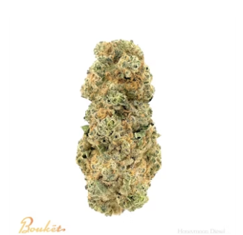 Bouket | Honeymoon Diesel | 4G Hybrid