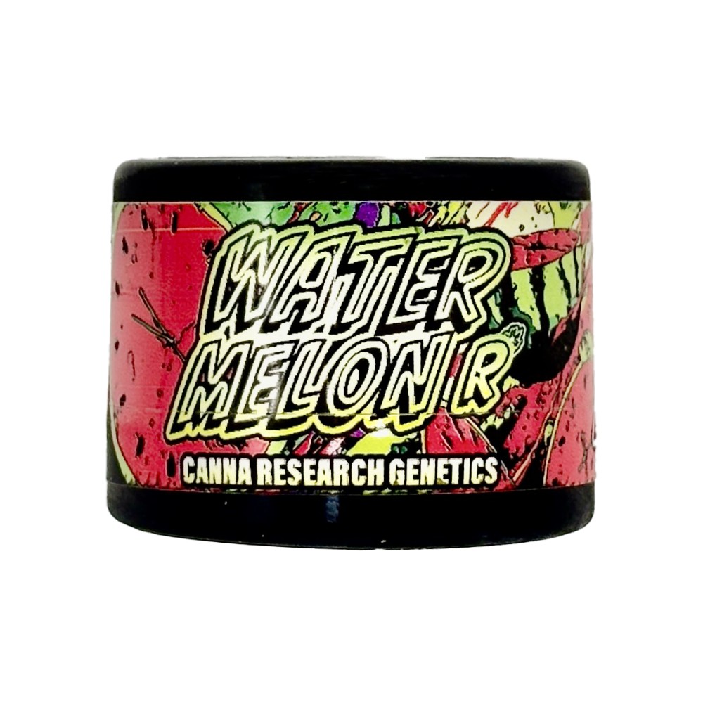 Hash and Flowers: Watermelon R - And