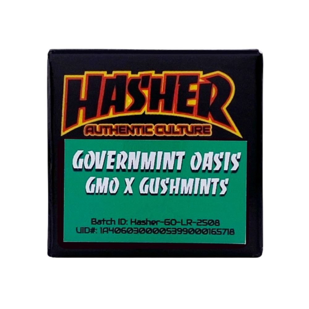 Hasher — GovernMint Oasis