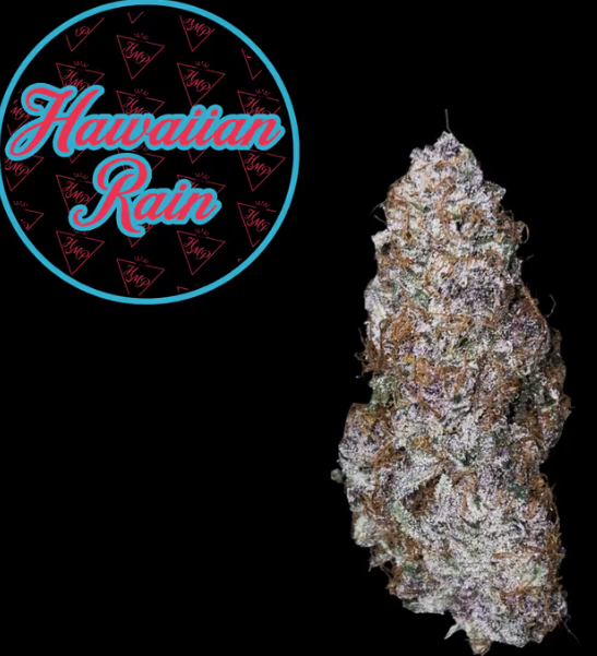 Hawaiian Rain | 3.5g