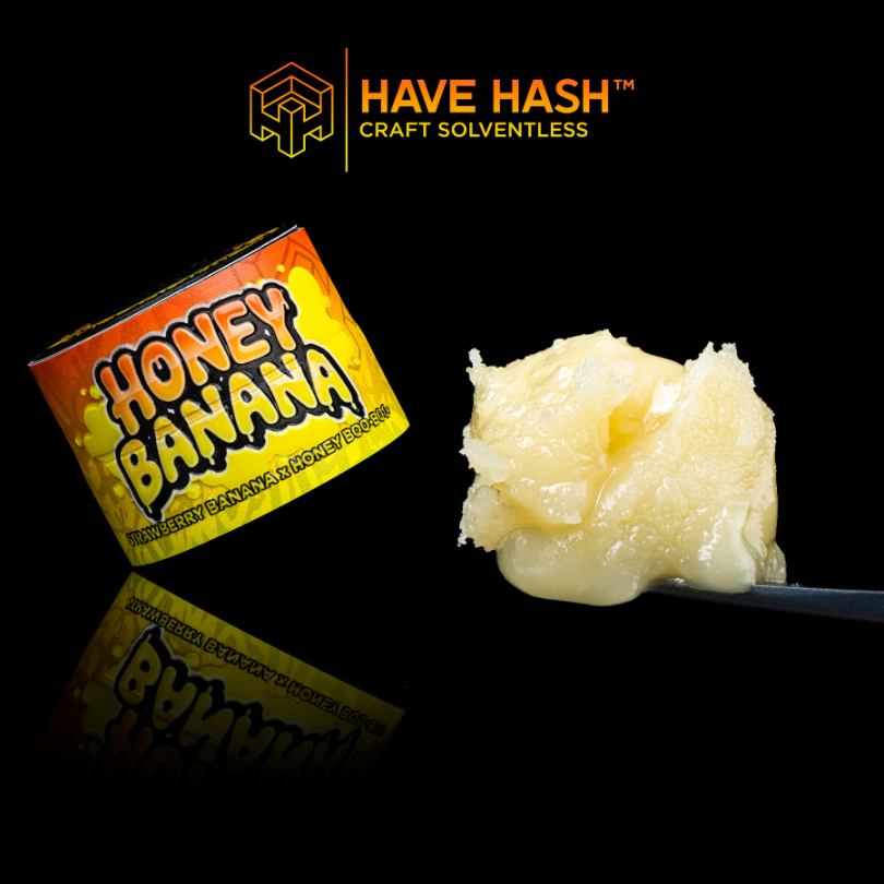 HAVE HASH - Cold Cure Rosin - Honey Banana - T2 - Concentrates - 1.0g