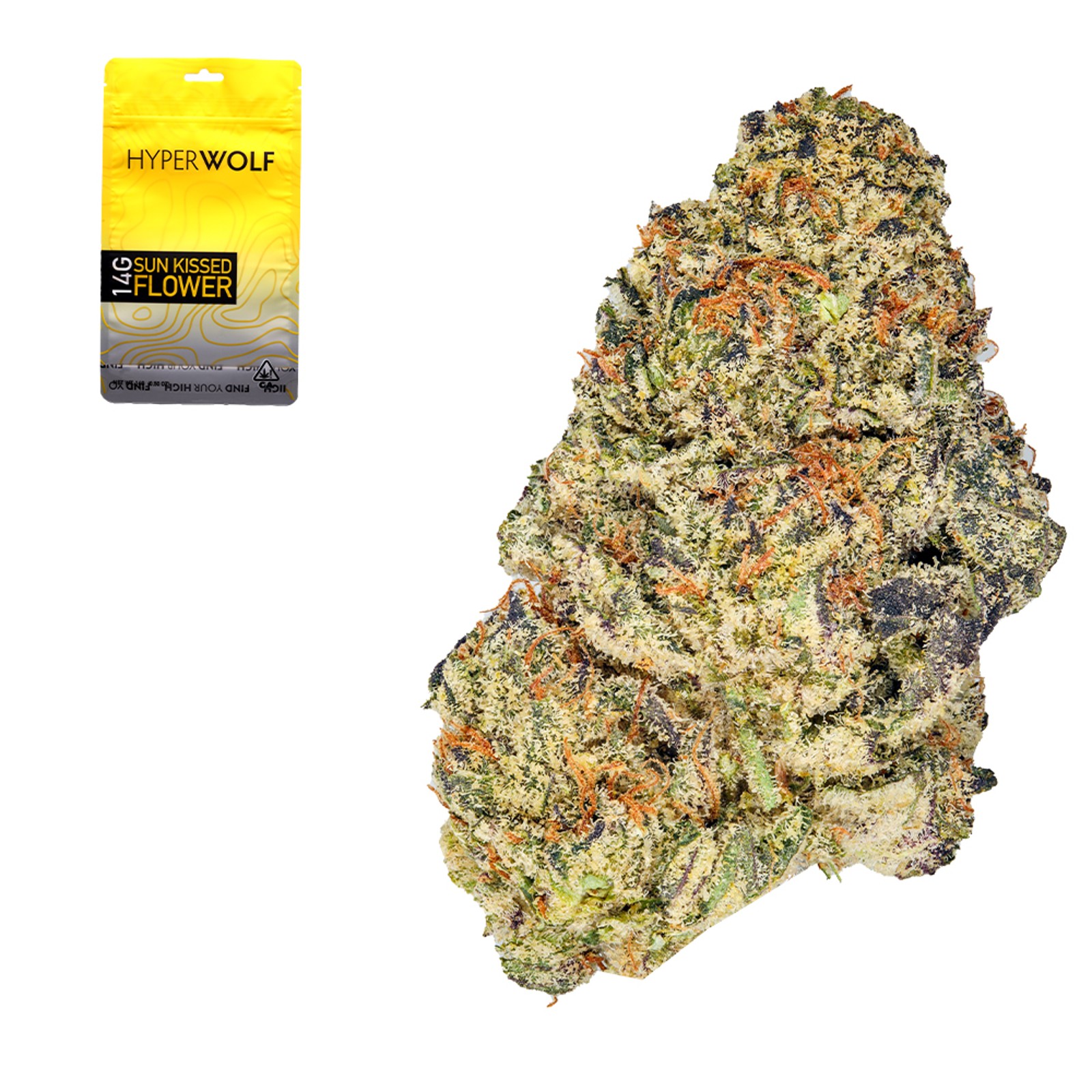 ホルモン HASHI! PROOFプルーフ Blue Zushi Half Ounce