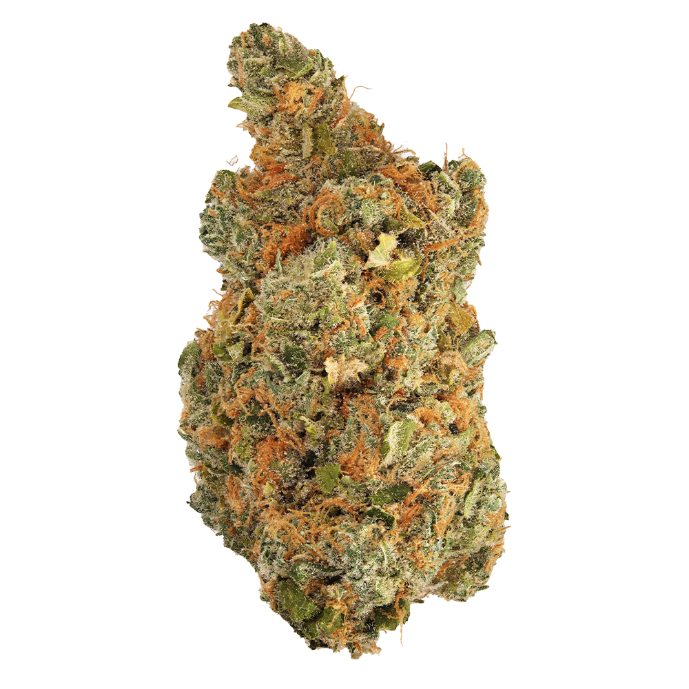 Hyperwolf Blueberry French Toast Flower Strain (sativa), 3.5g