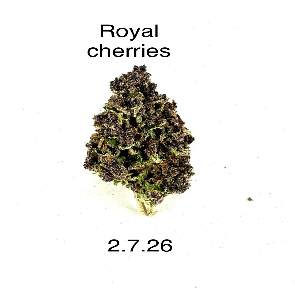 HDH - Royal Cherries