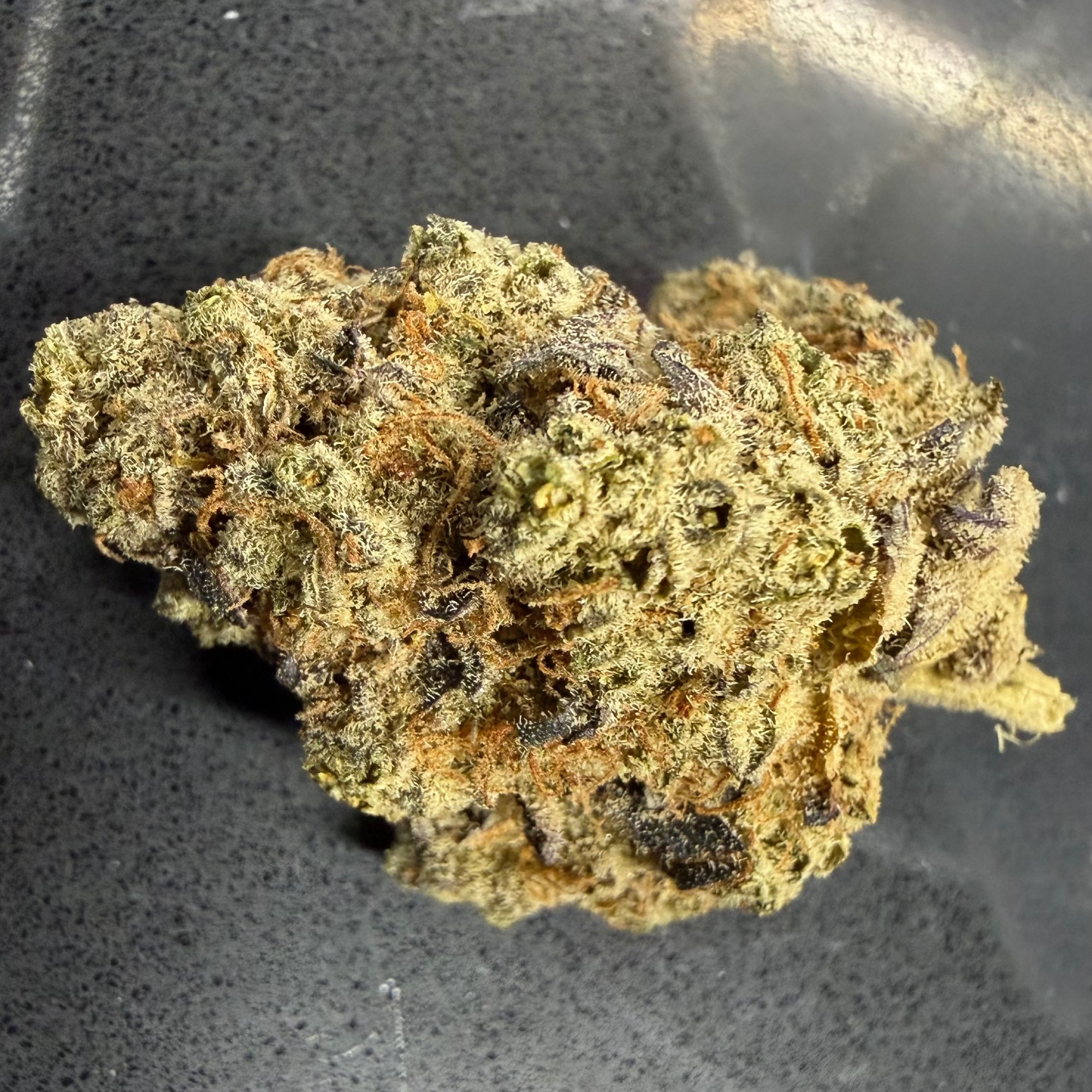 Zesty Parm - Flower - 3.5 g - 1 ct - Northpark