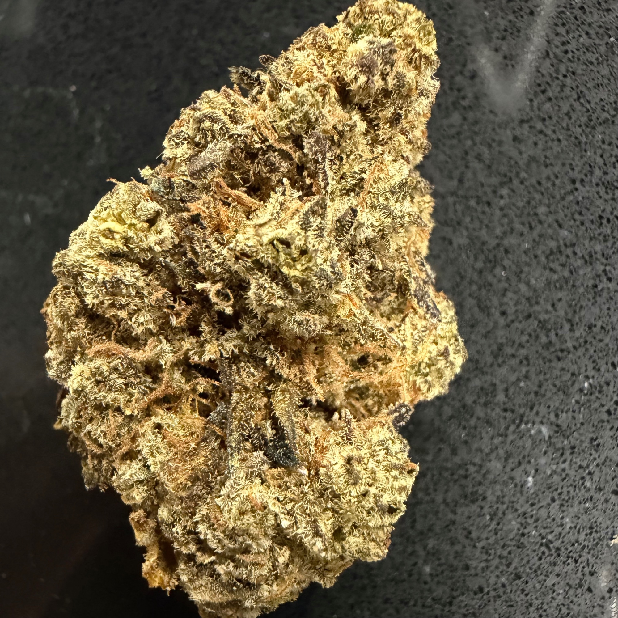 Zesty Parm - Flower - 7.0 - 1 ct Northpark