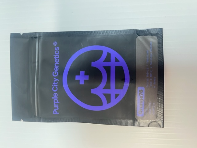 SALE Purple City Orange 76 Feminized Seeds 6pk ND