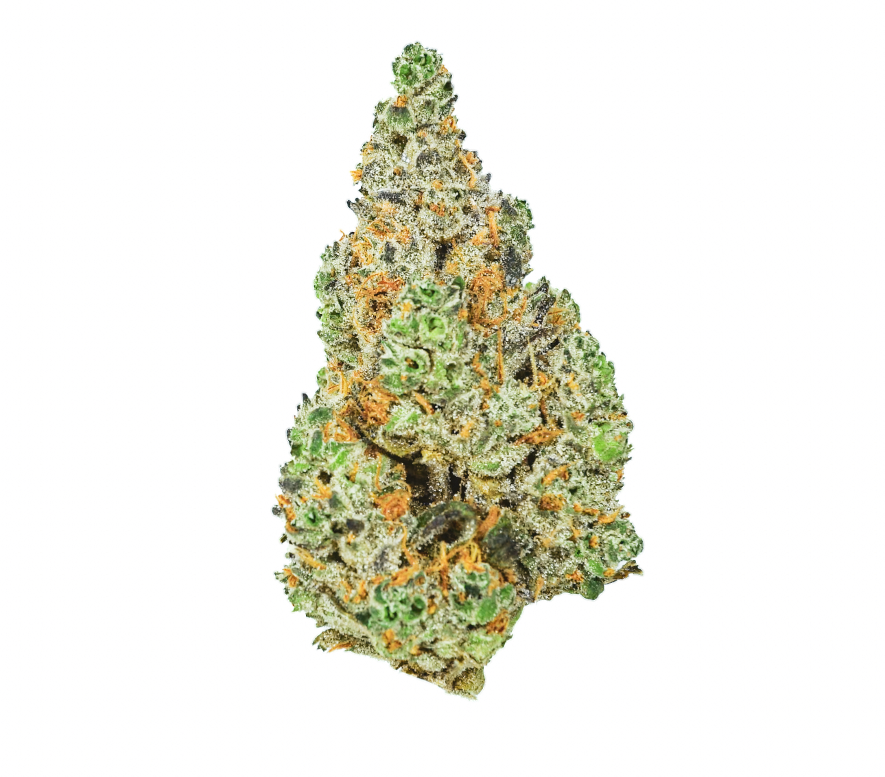 Hecate Gardens Space Junk