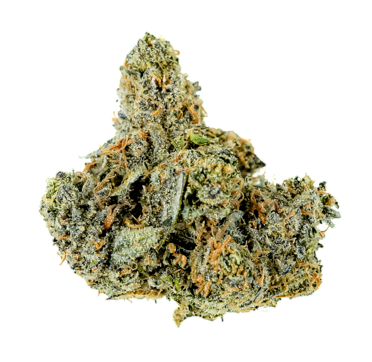 Hecate Gardens Cosmic R*ntz