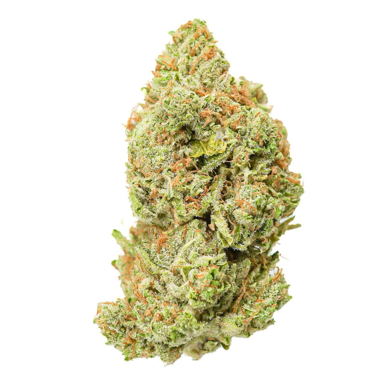 Pruf Cultivar Blank Check #4