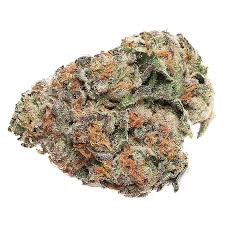 Bubble Gum