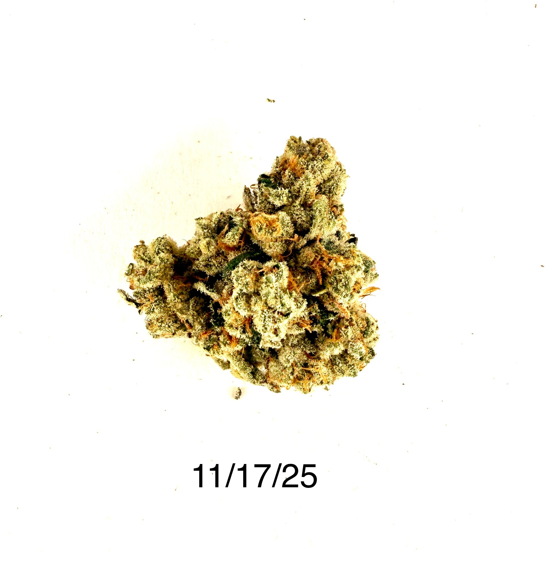 GW - Green Tsunami
