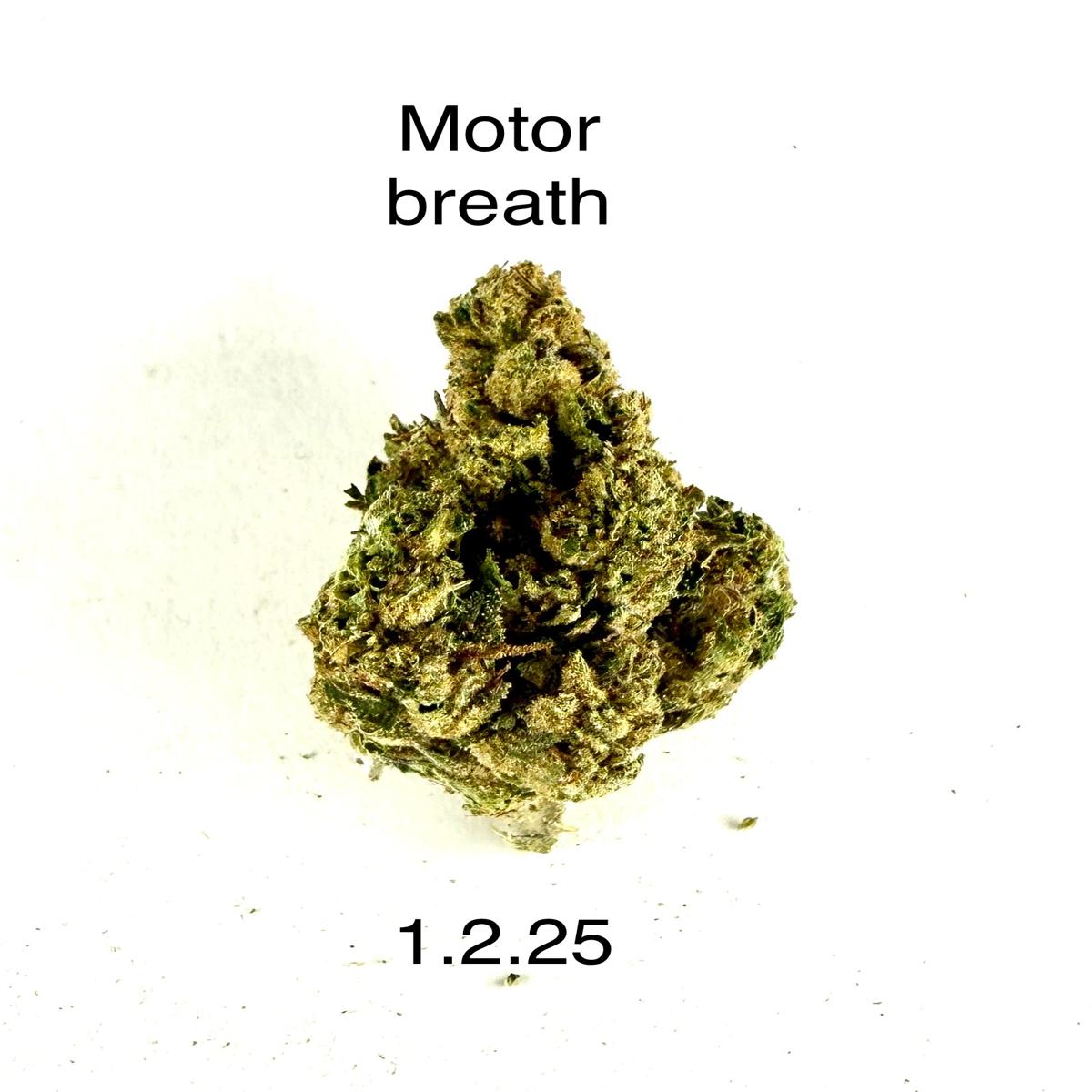HDH - Motor Breath