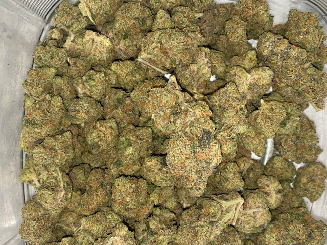 Fruity Loops OZ (I) 28G - Ashlock