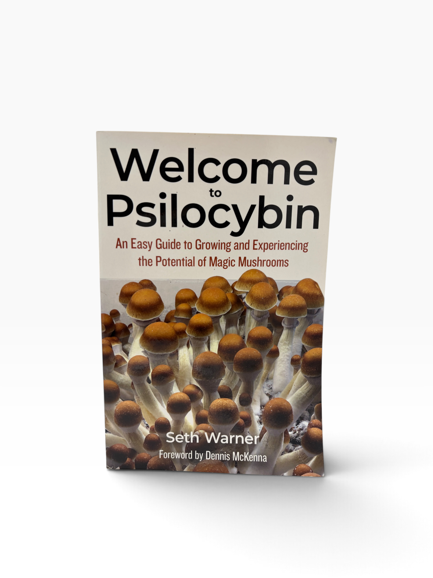 Welcome to Psilocybin