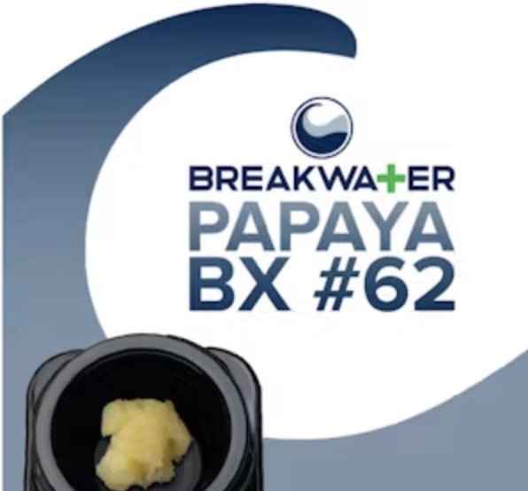 Breakwater | Concentrate | Papaya BX #62 | Live Hash Rosin | .5g