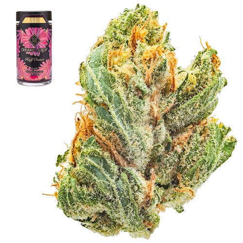 Jack-Herer---Flower---COTC-3-