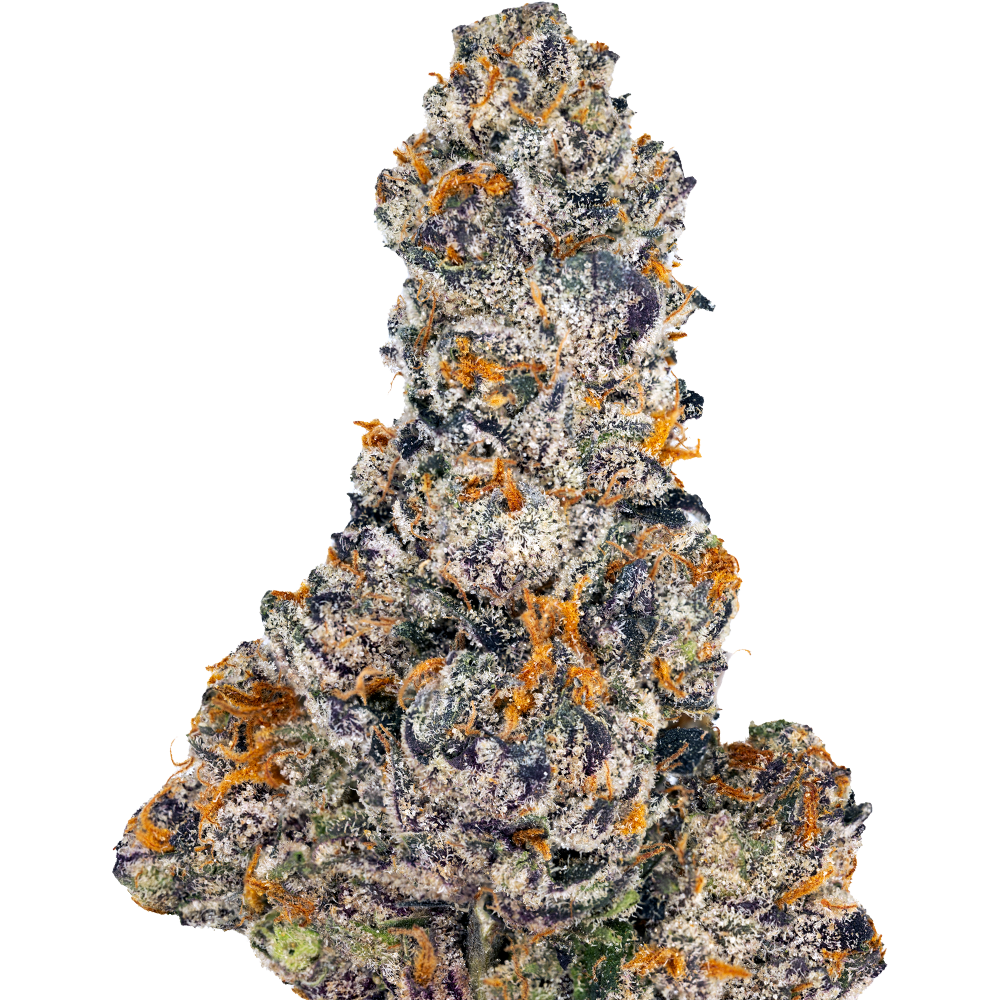 Hyperwolf Jet Fuel Gelato Flower Strain (indica), 3.5g