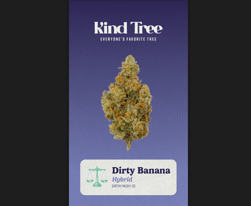 Kind Tree | Dirty Banana | 3.5g Flower
