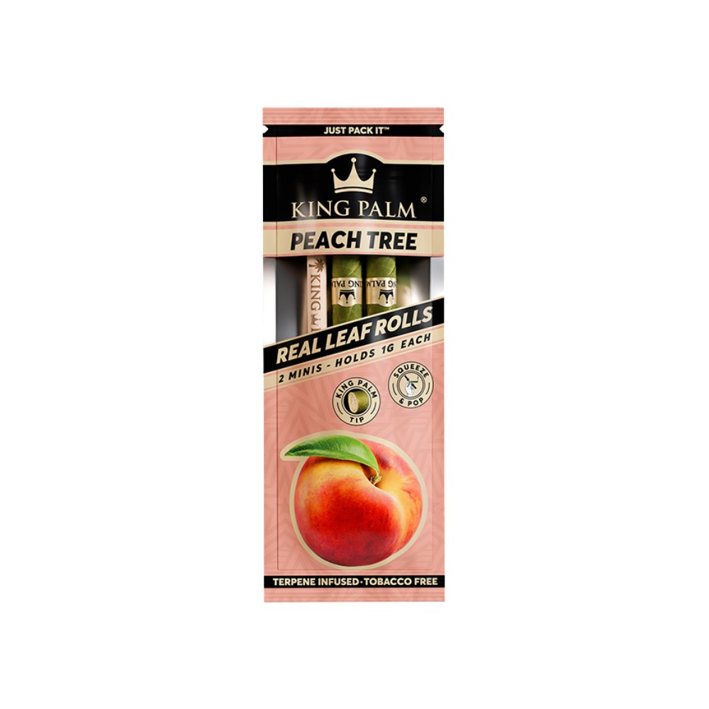 PEACH TREE KING PALM MINI CONES (2PK) - KING PALM